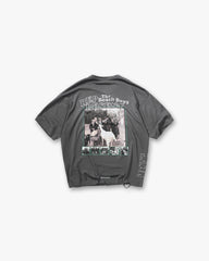 Represent x Beach Boys Pet Sounds T-Shirt - Sunfade Grey
